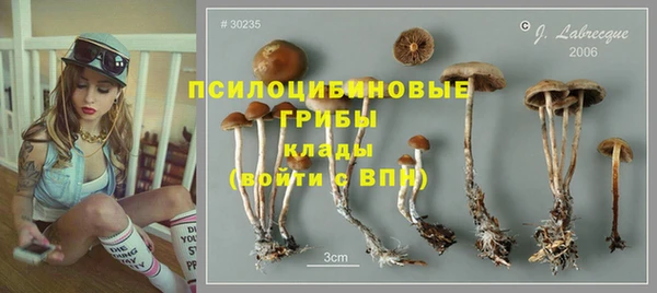 первитин Белокуриха