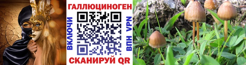 Галлюциногенные грибы Magic Shrooms кракен рабочий сайт Кушва
