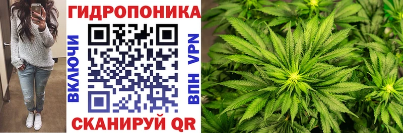 дарк нет телеграм  Кушва  Канабис Amnesia  где продают  